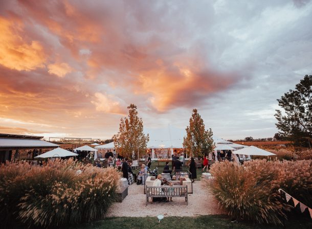 Stunning courtyard framed by the vineyard and native grasses; making memories as guests mingle in the golden light...