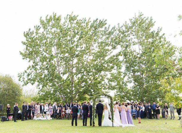 A wedding ceremony watched by family and guests taking place under majestic cottonwood trees at The Vinegrove wedding venue in Mudgee.